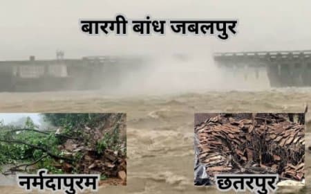 Madhya Pradesh Monsoon Update: सीधी-यूपी मार्ग बंद, टीकमगढ़-दमोह में रेड अलर्ट, बरगी बांध के गेट खुले Madhya Pradesh Monsoon Update: सीधी-यूपी मार्ग बंद, टीकमगढ़-दमोह में रेड अलर्ट, बरगी बांध के गेट खुले