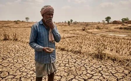 सूखे की जद में मध्य प्रदेश: पांच साल में सबसे कम बारिश, कृषि पर बड़ा संकट...घटेगी गेहूं-सोयाबीन की पैदावार सूखे की जद में मध्य प्रदेश: पांच साल में सबसे कम बारिश, कृषि पर बड़ा संकट...घटेगी गेहूं-सोयाबीन की पैदावार