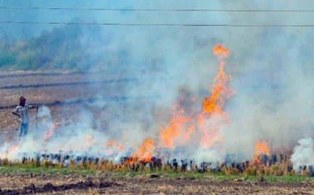 केंद्र का सख्त रुख: मध्य प्रदेश समेत पांच राज्यों को पराली जलाने पर रोक लगाने के निर्देश, मिशन मोड में करें काम केंद्र का सख्त रुख: मध्य प्रदेश समेत पांच राज्यों को पराली जलाने पर रोक लगाने के निर्देश, मिशन मोड में करें काम