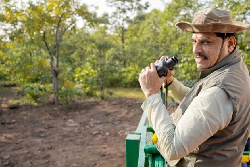 वीरांगना दुर्गावती टाइगर रिजर्व बना मध्य प्रदेश में चीतों का तीसरा नया ठिकाना, कूनो से लाए गए दो चीतों को छोड़ा गया