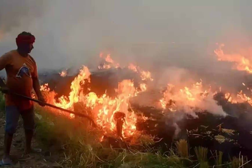 सावधान! पराली जलाने में देश में सबसे आगे मध्यप्रदेश, प्रदूषण से बढ़ रहा फेफड़ों और श्वसन स्वास्थ्य पर खतरा