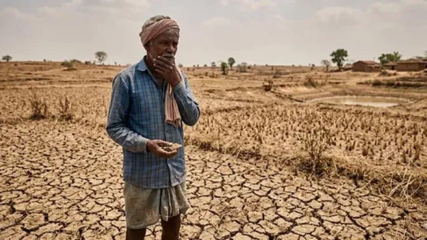 सूखे की जद में मध्य प्रदेश: पांच साल में सबसे कम बारिश, कृषि पर बड़ा संकट...घटेगी गेहूं-सोयाबीन की पैदावार सूखे की जद में मध्य प्रदेश: पांच साल में सबसे कम बारिश, कृषि पर बड़ा संकट...घटेगी गेहूं-सोयाबीन की पैदावार