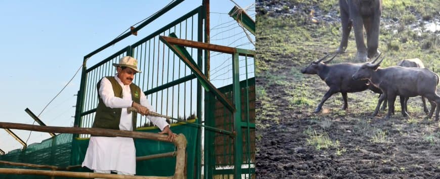 सीएम का आह्वान- कान्हा एशिया का सबसे बड़ा पार्क, वन्य प्राणियों के नैसर्गिंक जीवन निहारने जरूर आएं सैलानी सीएम का आह्वान- कान्हा एशिया का सबसे बड़ा पार्क, वन्य प्राणियों के नैसर्गिंक जीवन निहारने जरूर आएं सैलानी